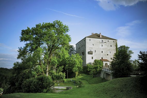 Burg Saldenburg in der Totalen