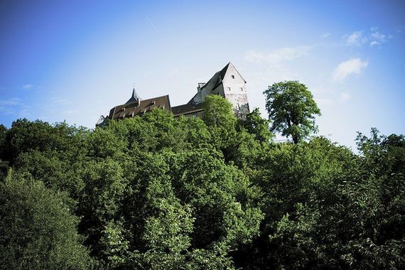 Burg Rothenfels auf einem bewaldeten Hügel